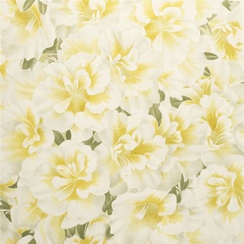 Variegated Azalea Mimosa Wallcovering by Designers Guild