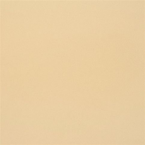 Farran Champagne Fabric by Designers Guild 