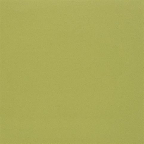 Farran Moss Fabric by Designers Guild 