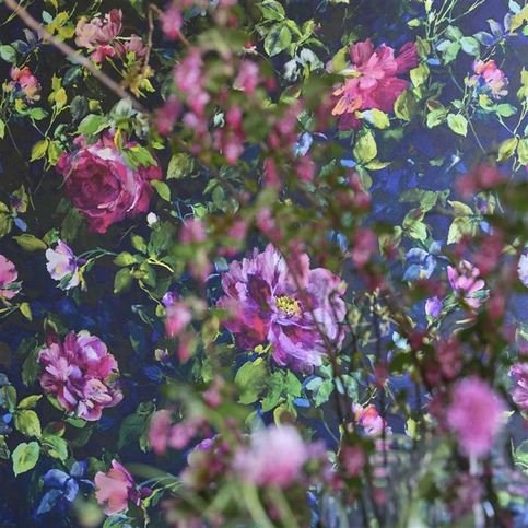 Gertrude Rose Fuchsia Wallcovering by Designers Guild