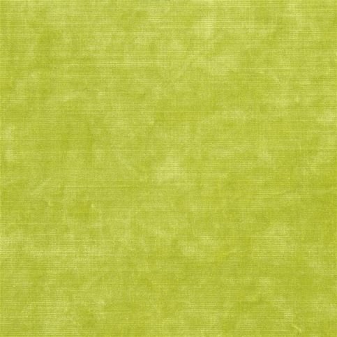 Glenville Lime Dg Fabric by Designers Guild 