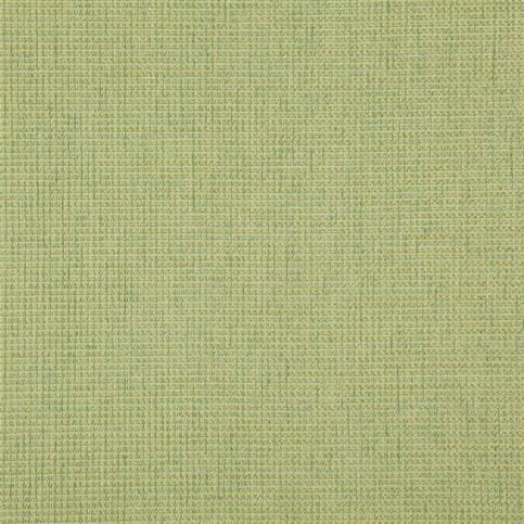Linghaw Grass Fabric by Designers Guild 