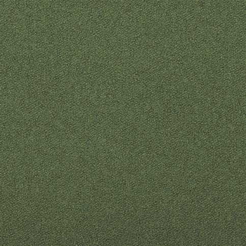 Mezan Fern Fabric by Designers Guild 