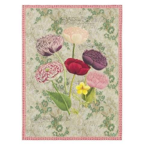 Poppy Study Violet Throw by Designers Guild/John Derian