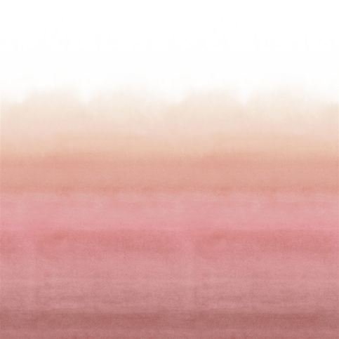 Shoshi Coral Wallcovering by Designers Guild