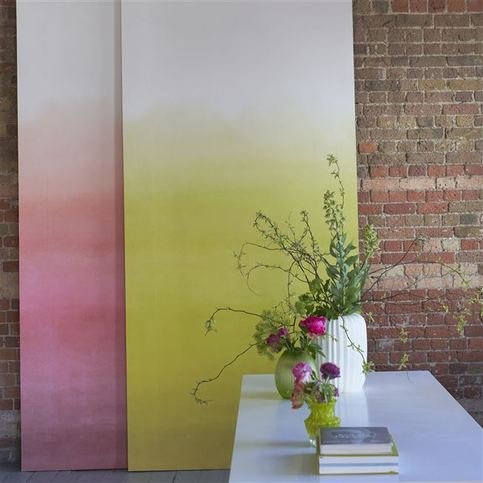 Shoshi Coral Wallcovering by Designers Guild