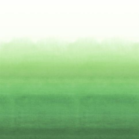 Shoshi Forest Wallcovering by Designers Guild