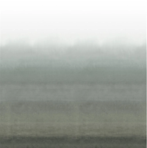 Shoshi Graphite Wallcovering by Designers Guild