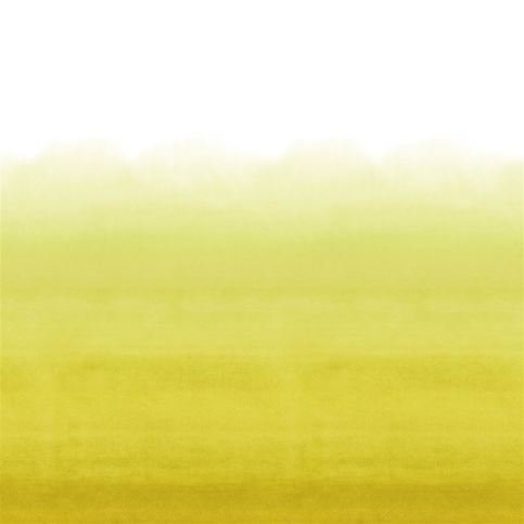 Shoshi Lemongrass Wallcovering by Designers Guild