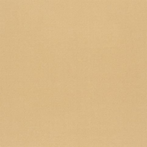 Tiber Champagne Fabric by Designers Guild 