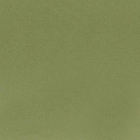 Tiber Elm Fabric by Designers Guild 