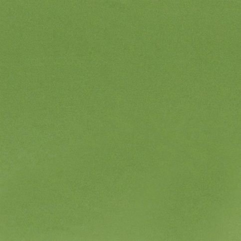Tiber Forest Fabric by Designers Guild 