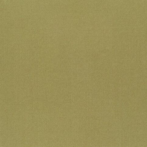 Tiber Olive Fabric by Designers Guild 
