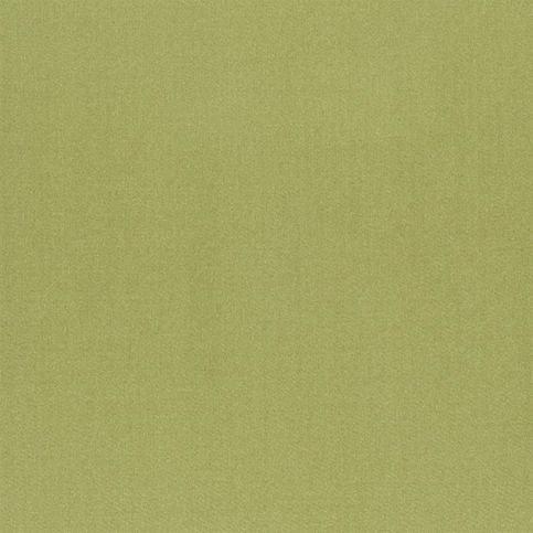 Tiber Pistachio Fabric by Designers Guild 