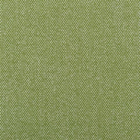 Torrington Grass Fabric by Designers Guild 