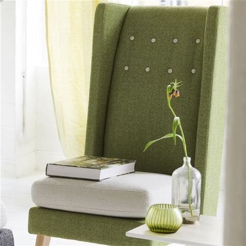 Torrington Grass Fabric by Designers Guild 