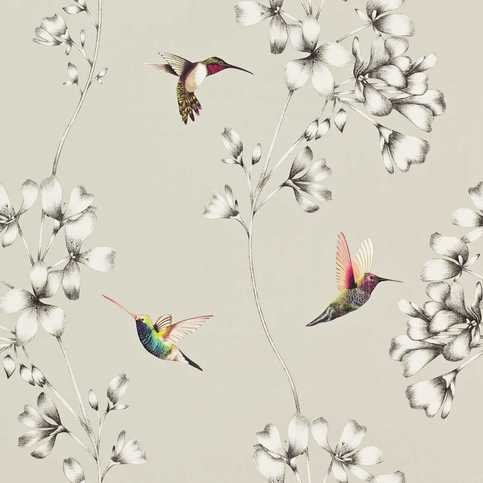 Amazilia Silver Wallcovering by Harlequin