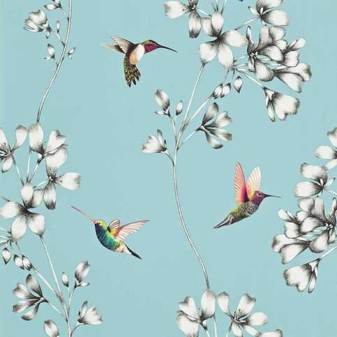 Amazilia Sky Wallcovering by Harlequin