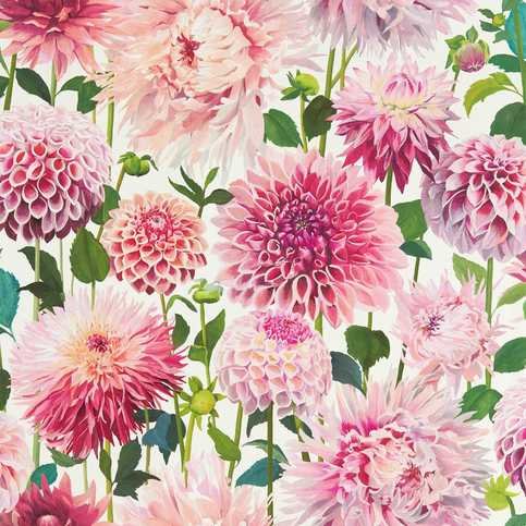 Dahlia Blossom/Emerald/New Beginnings Wallcovering by Harlequin