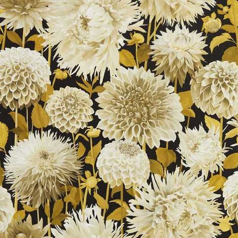 Dahlia Fig Blossom/Nectar/Black Earth Wallcovering by Harlequin