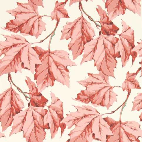 Dappled Leaf Rose Quartz Wallcovering by Harlequin X Sophie Robinson