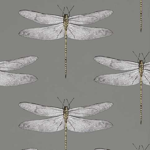 Demoiselle Graphite/Almond Wallcovering by Harlequin