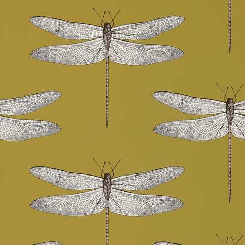Demoiselle Ochre/Grape Wallcovering by Harlequin