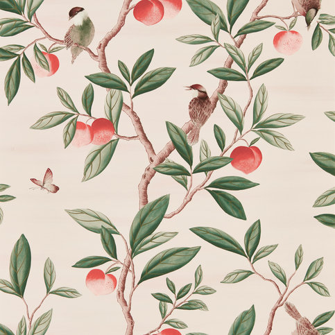 Ella Powder/ Sage / Peach Wallcovering by Harlequin