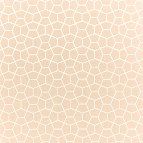 Glyptic Buff Fabric by Harlequin
