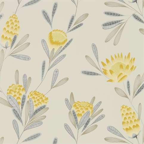 Cayo Ochre/Linen Wallcovering by Harlequin 