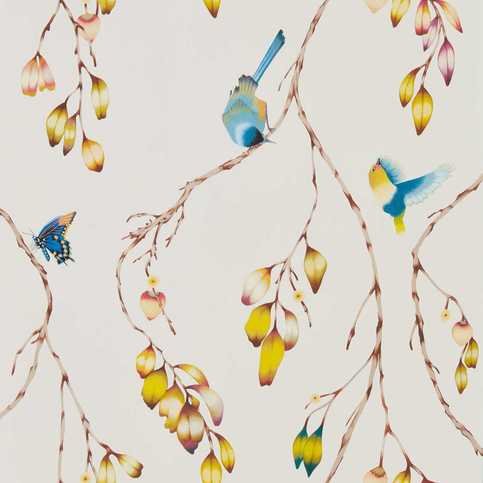 Iyanu Papaya/Kiwi Wallcovering by Harlequin