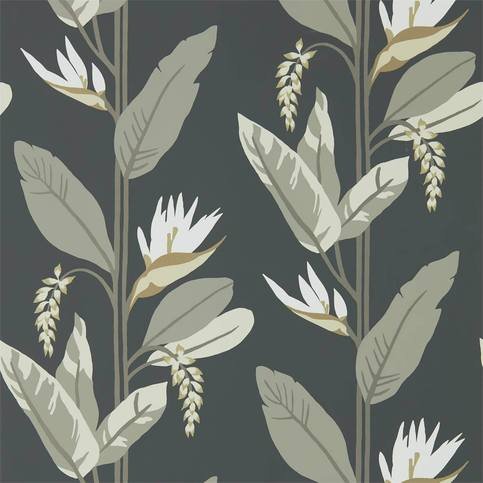 Llenya Jet/Stone/Gold Wallcovering by Harlequin
