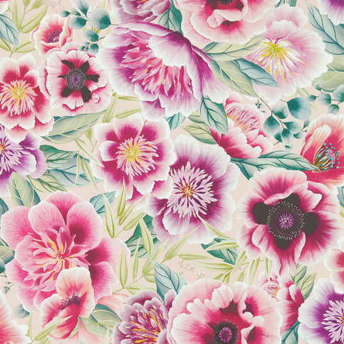Marsha Powder/Peony/Magenta Wallcovering by Harlequin