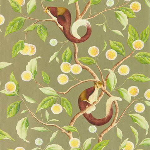 Nellie Gilver/Meadow Wallcovering by Harlequin