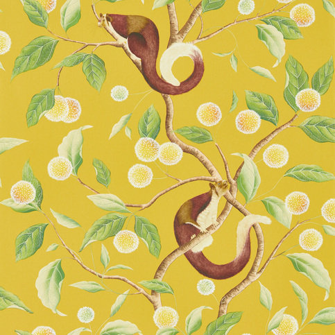 Nellie Honey/Meadow Wallcovering by Harlequin