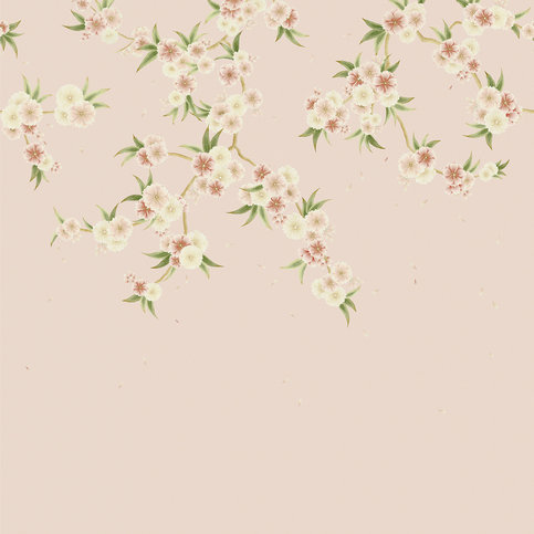 Rosa Blush Pearl/Peony/Meadow Wallcovering by Harlequin