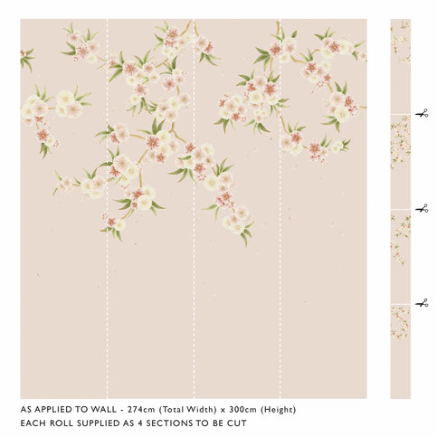 Rosa Blush Pearl/Peony/Meadow Wallcovering by Harlequin