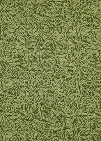 Corolla Canopy Fabric by James Hare