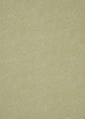 Corolla Pampas Fabric by James Hare