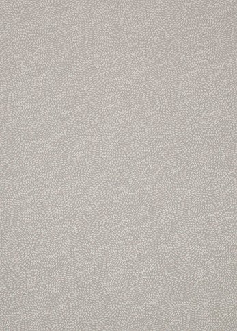 Corolla Pearl Barley Fabric by James Hare