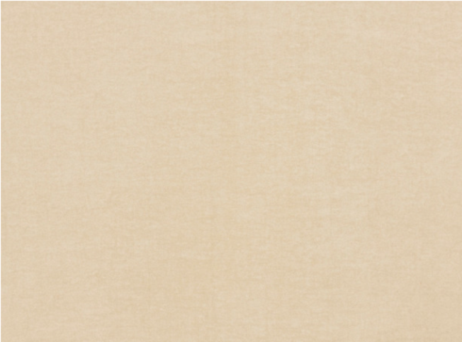 Crush FR EasyClean Canvas by Kirkby Design