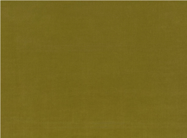 Ice II Fern Fabric by Kirkby Design