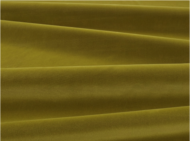 Ice II Fern Fabric by Kirkby Design