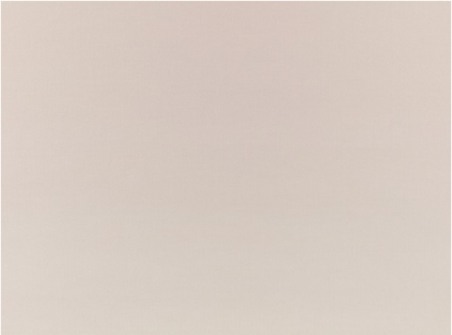 Ice II Porcini Fabric by Kirkby Design