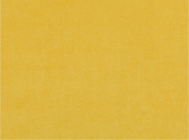 Kirkby Design Crush II Sunshine Fabric