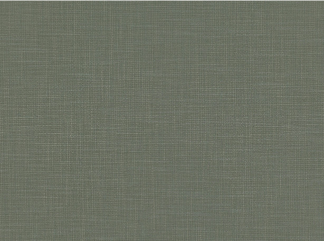 Kirkby Design Hue Eucalyptus Fabric