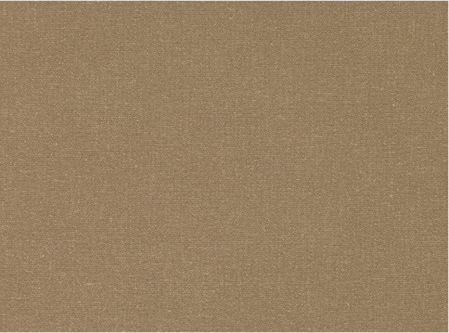 Kirkby Design Profile Caramel Fabric