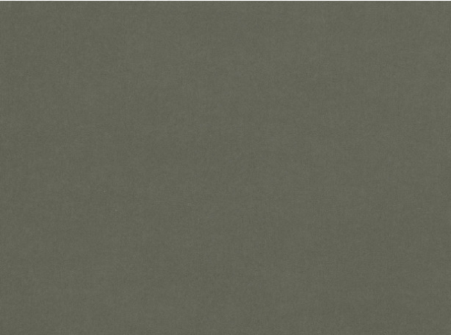 Kirkby Design Smooth Elephant Fabric