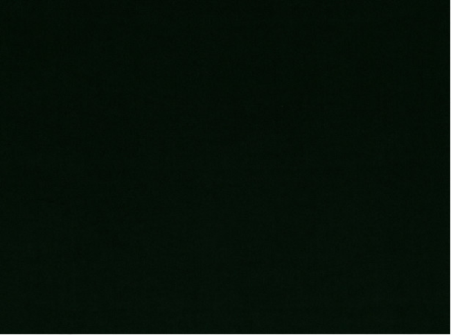 Kirkby Design Smooth Pine Green Fabric