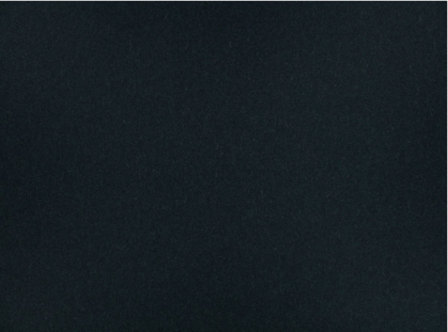 Leaf Jet Black by Kirkby Design